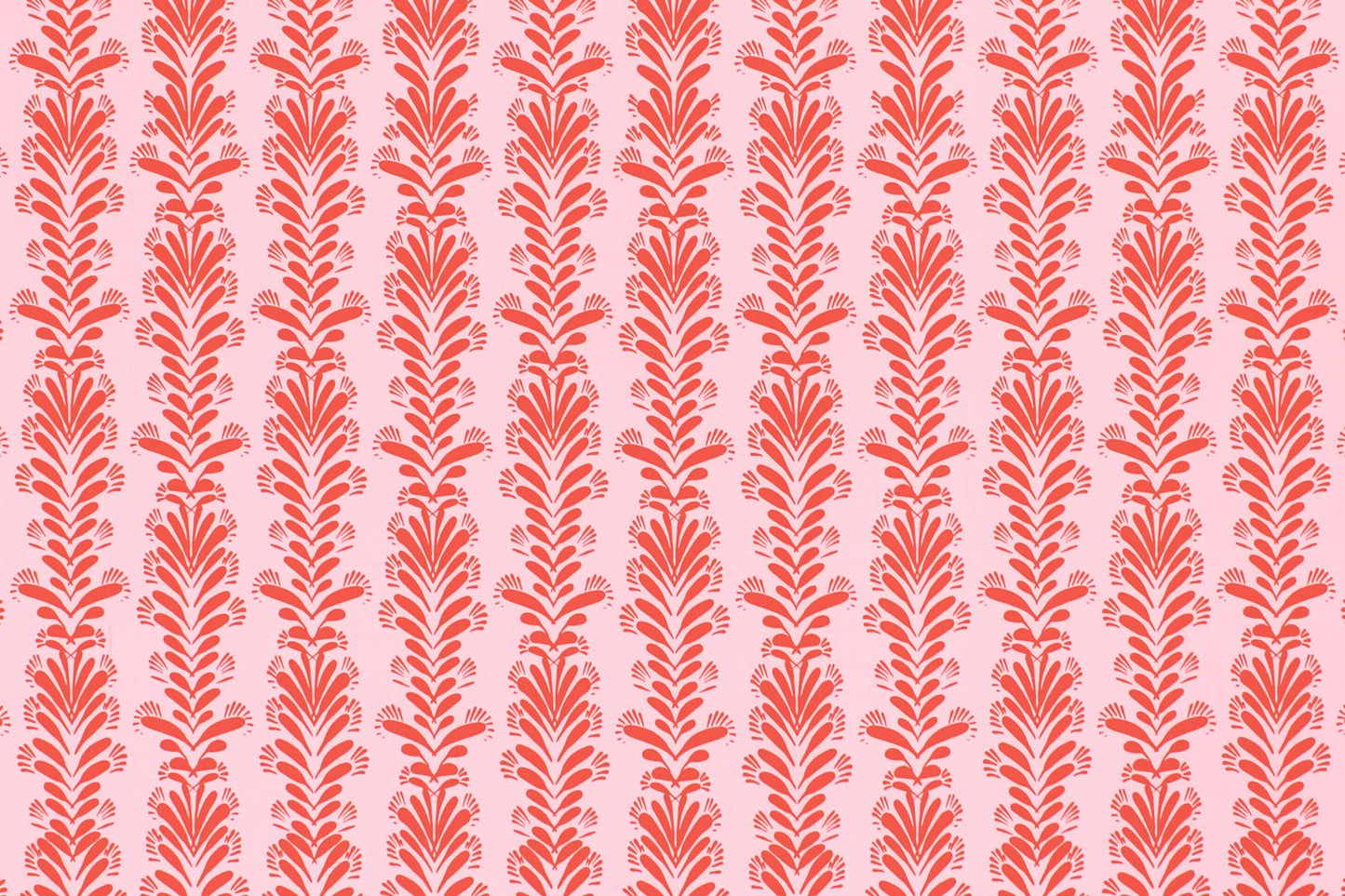 CBC0043 Coral