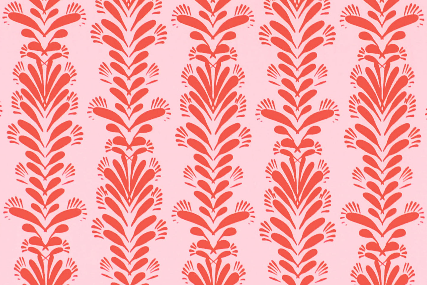 CBC0043 Coral