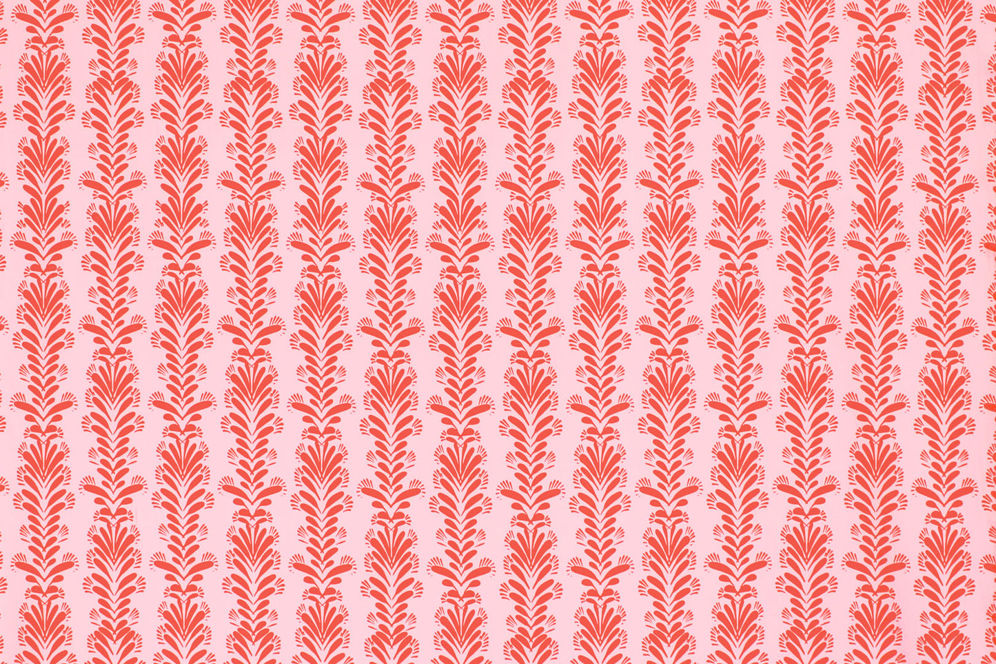 CBC0043 Coral