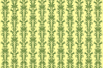 CBC0043 Olive