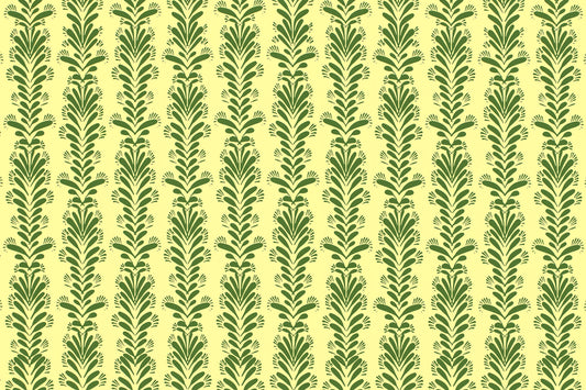 CBC0043 Olive