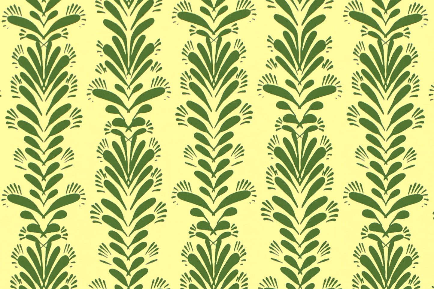 CBC0043 Olive
