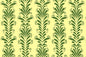 CBC0043 Olive