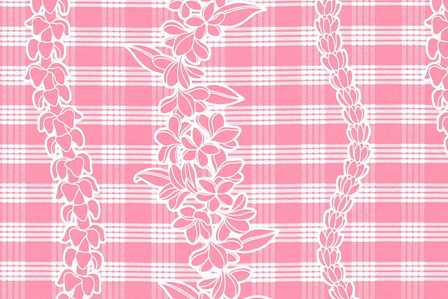 CBC0047 Coral