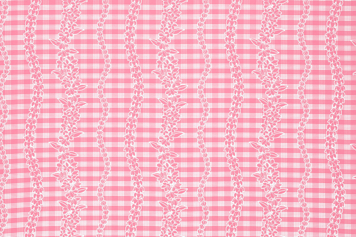 CBC0047 Coral