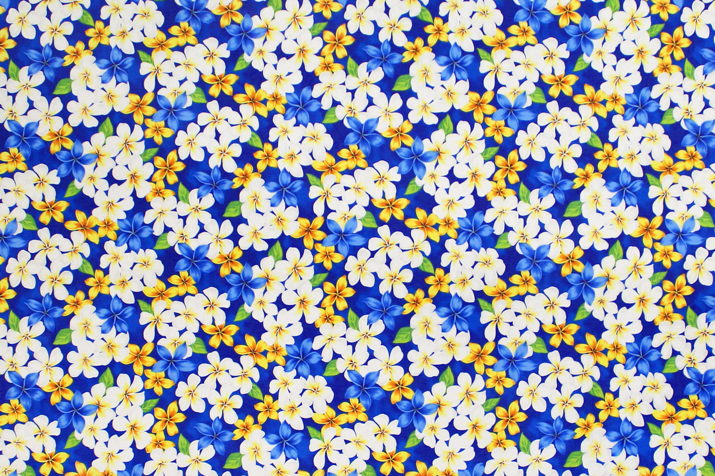 CHM0003 Blue