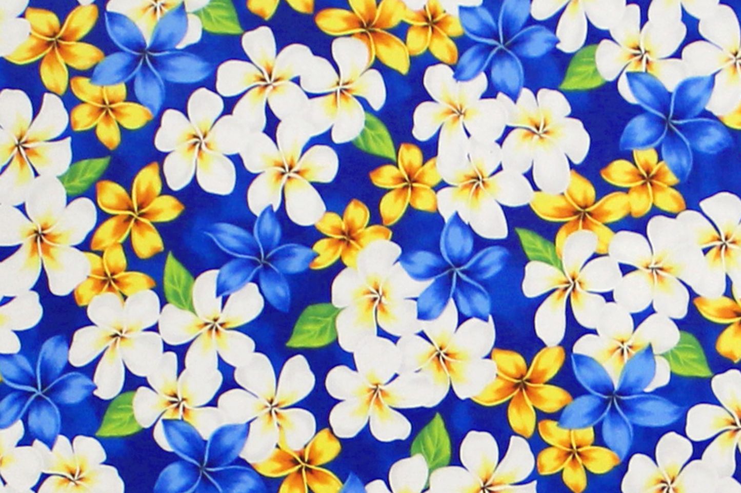 CHM0003 Blue