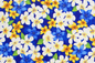 CHM0003 Blue