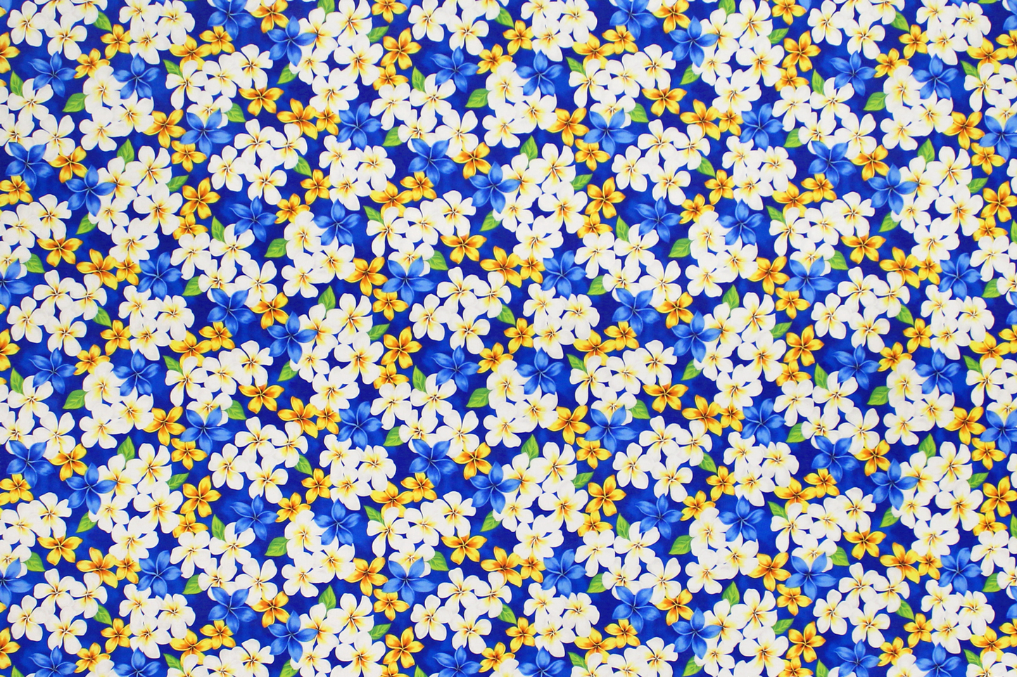 CHM0003 Blue
