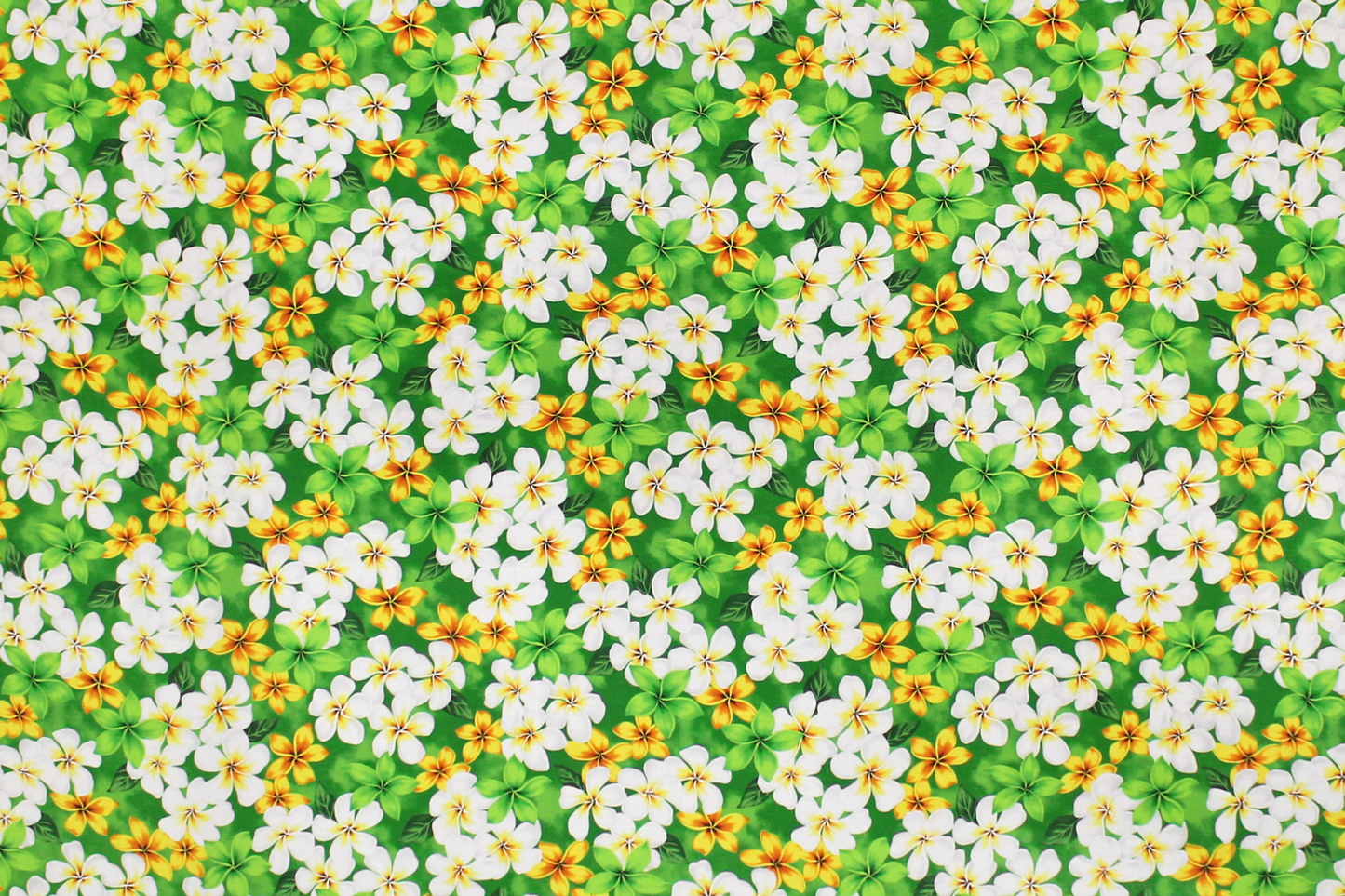 CHM0003 Green