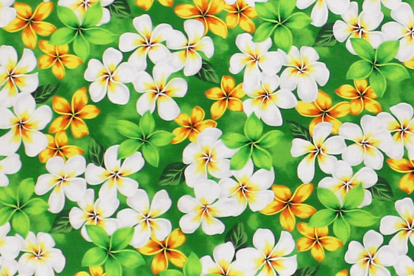 CHM0003 Green