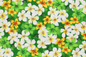 CHM0003 Green