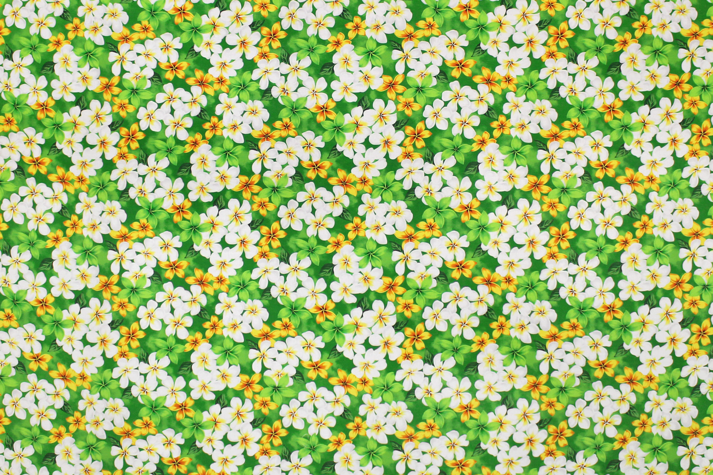 CHM0003 Green