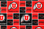 University of Utah