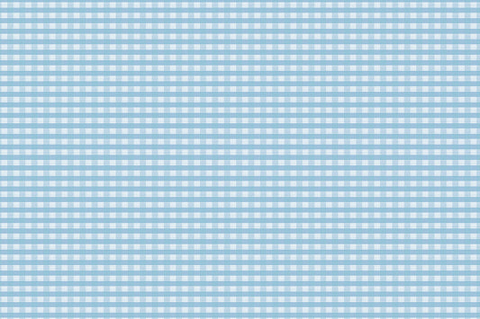PALAKA Canvas Light Blue
