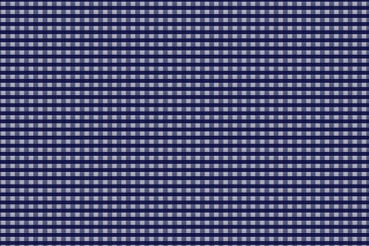 PALAKA Canvas Navy