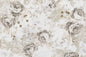 DC0056 Cream