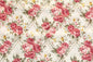 DC0058 Beige
