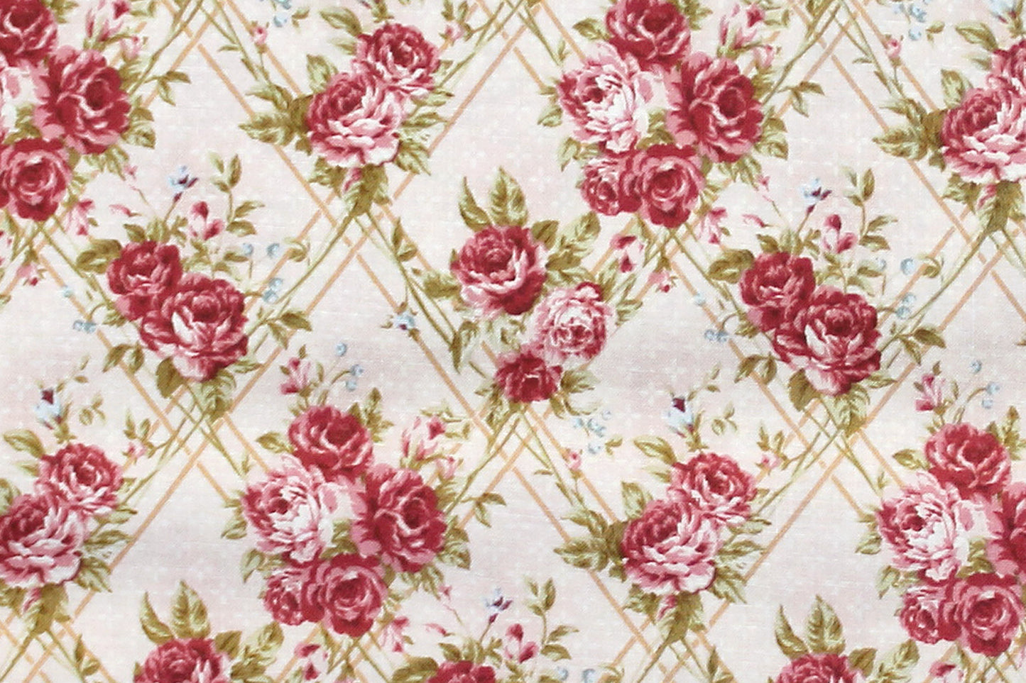 DC0058 Light Pink