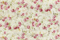 DC0064 Beige