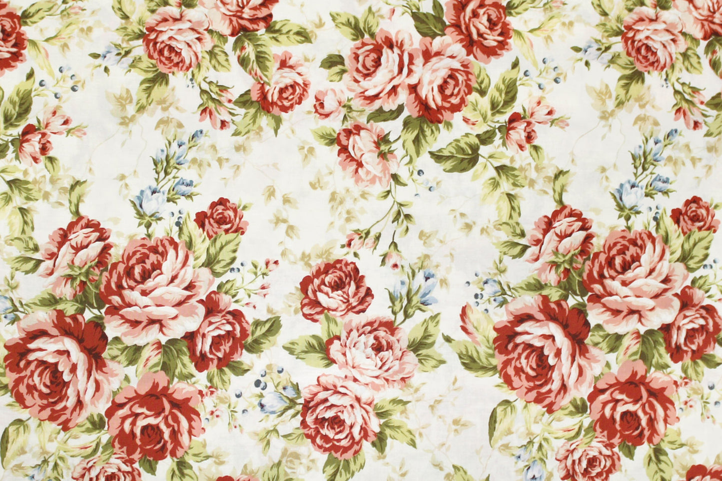 DC0065 Cream