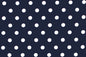 DC0072 Navy