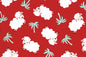 DC0079 Red