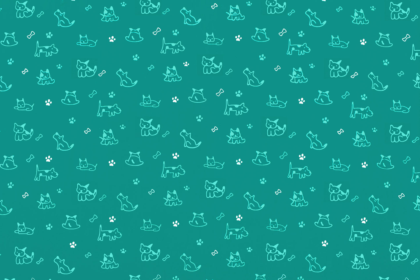 DC0081 Turquoise