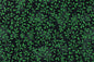 DC0082 Green