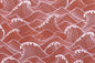 DF0002 Rust
