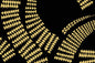 DF0003 Black