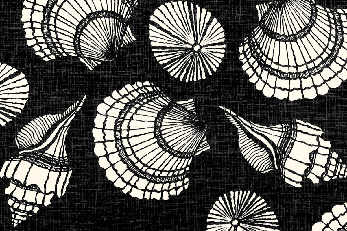 DF0004 Black