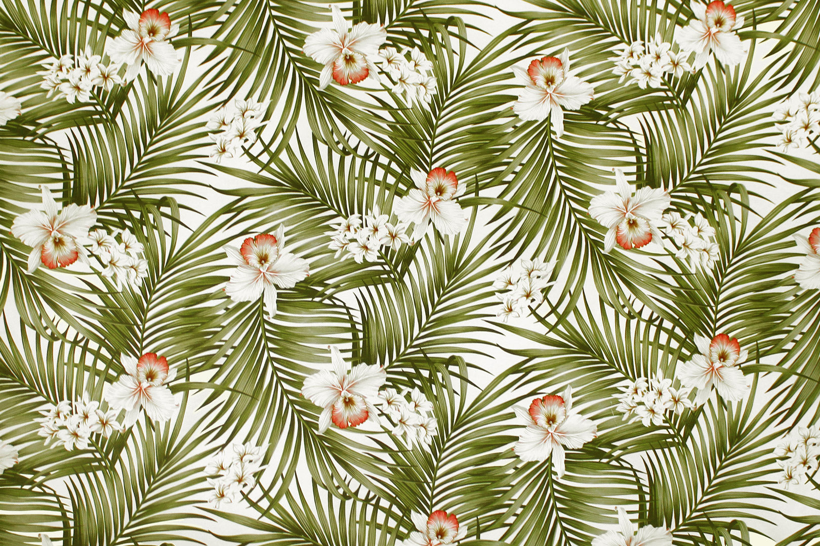 DF1015 Natural – Hawaii Fabric Mart