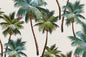 DF1054 Natural