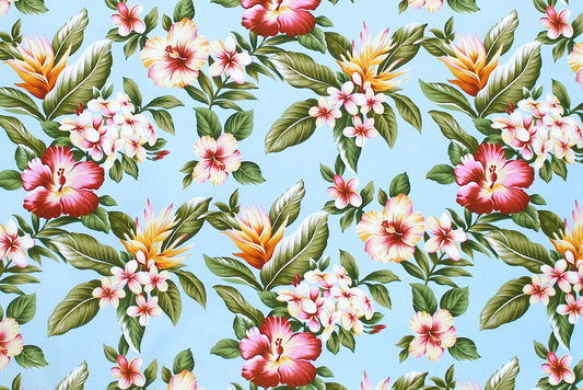 DF1553 Aqua