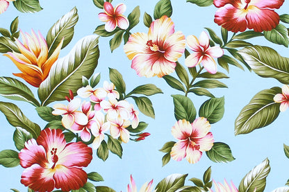 DF1553 Aqua