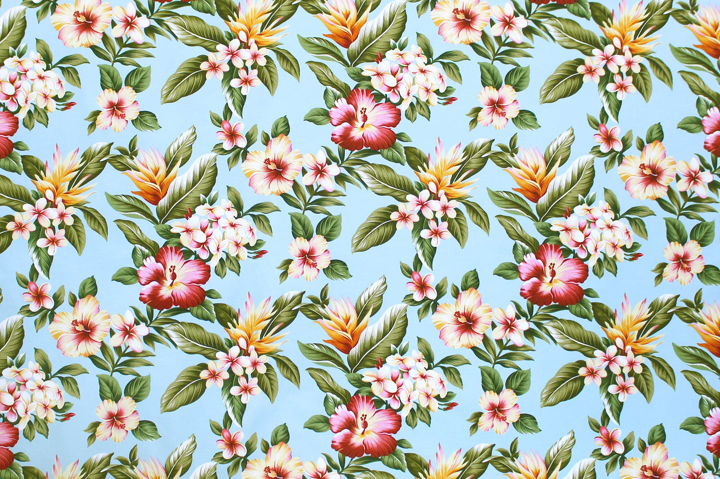 DF1553 Aqua