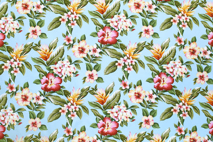 DF1553 Aqua