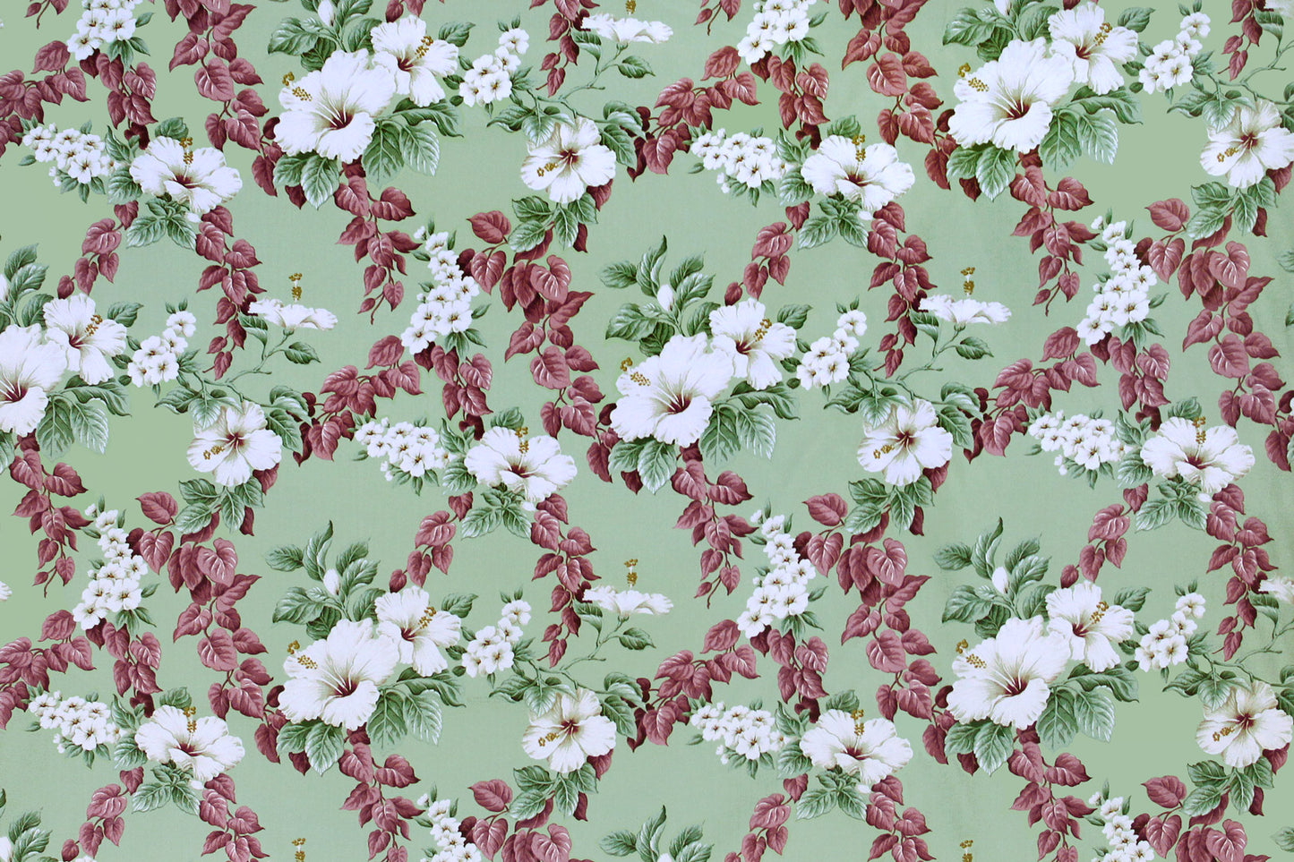 DF1558 Sage