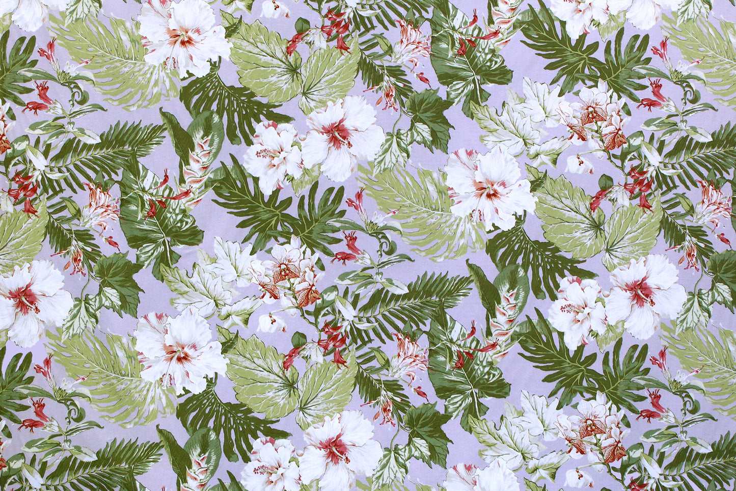 DF1591 Lavender