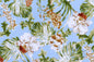 DF1598 Cyan