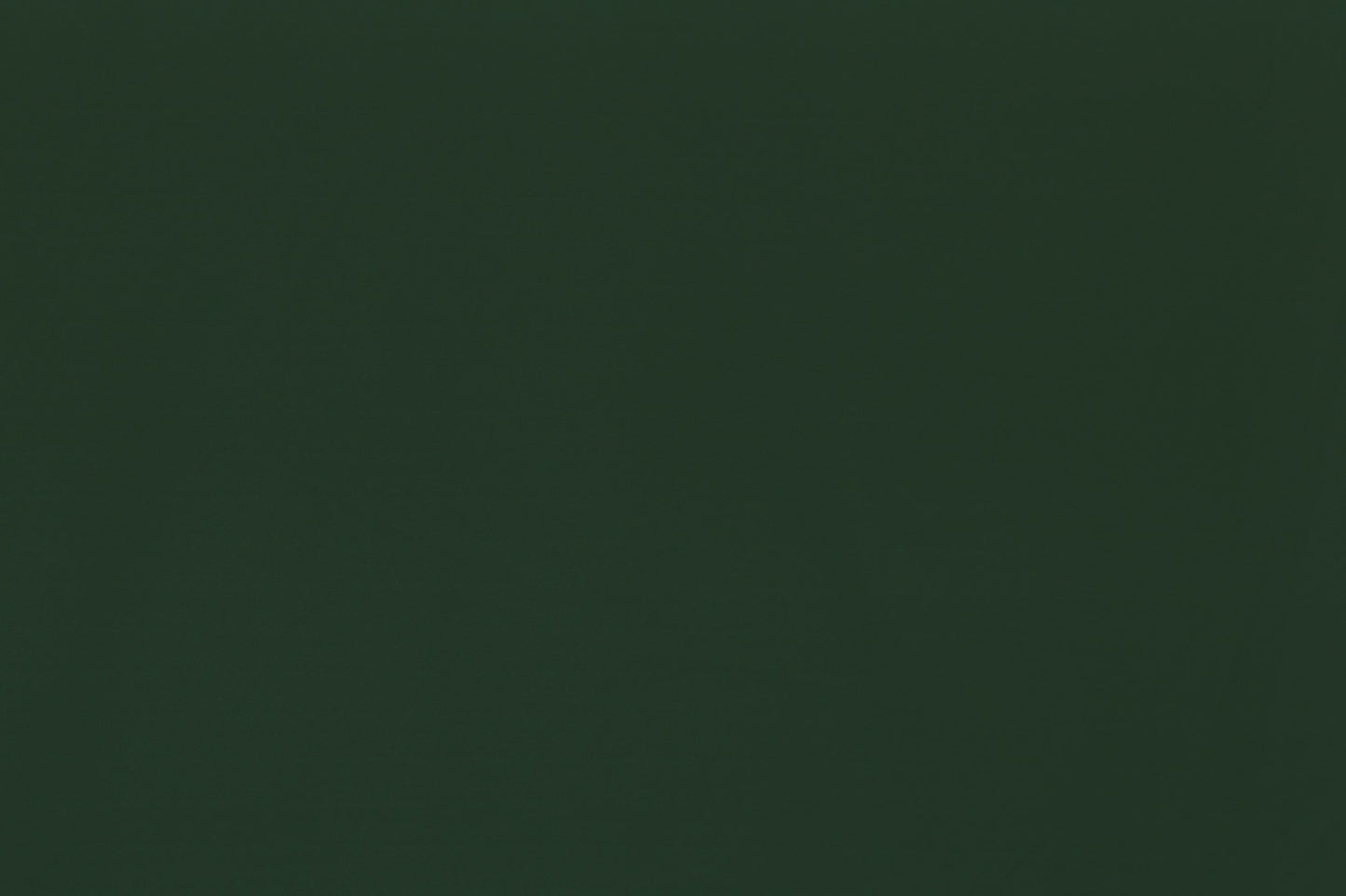 DF1622 Forest