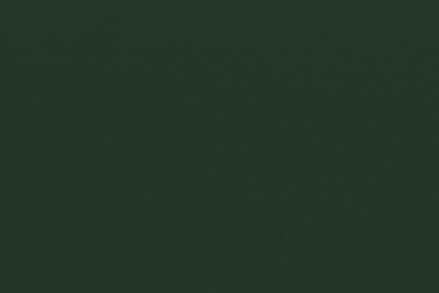 DF1622 Forest