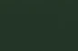 DF1622 Forest