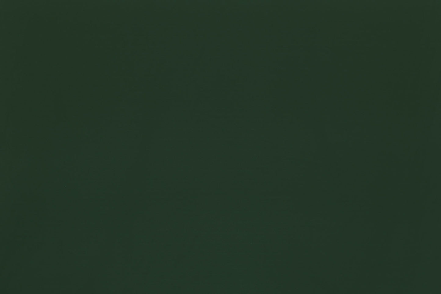 DF1622 Forest