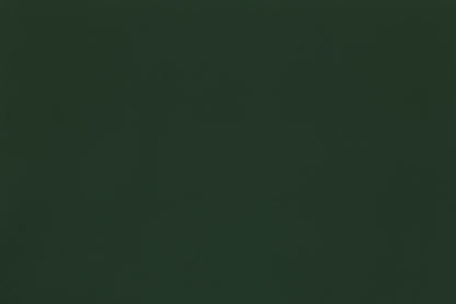 DF1622 Forest