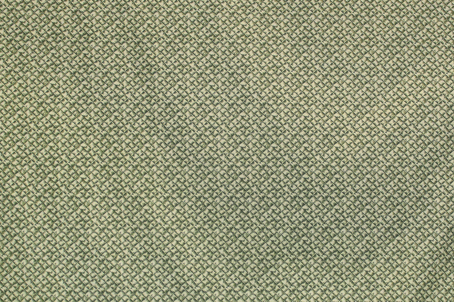 DF1629 Sage