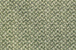DF1629 Sage