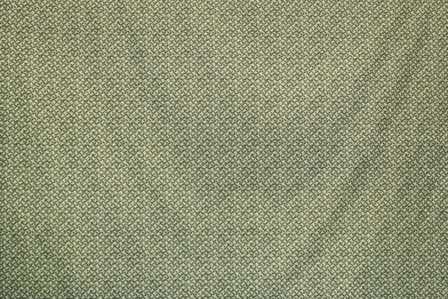 DF1629 Sage