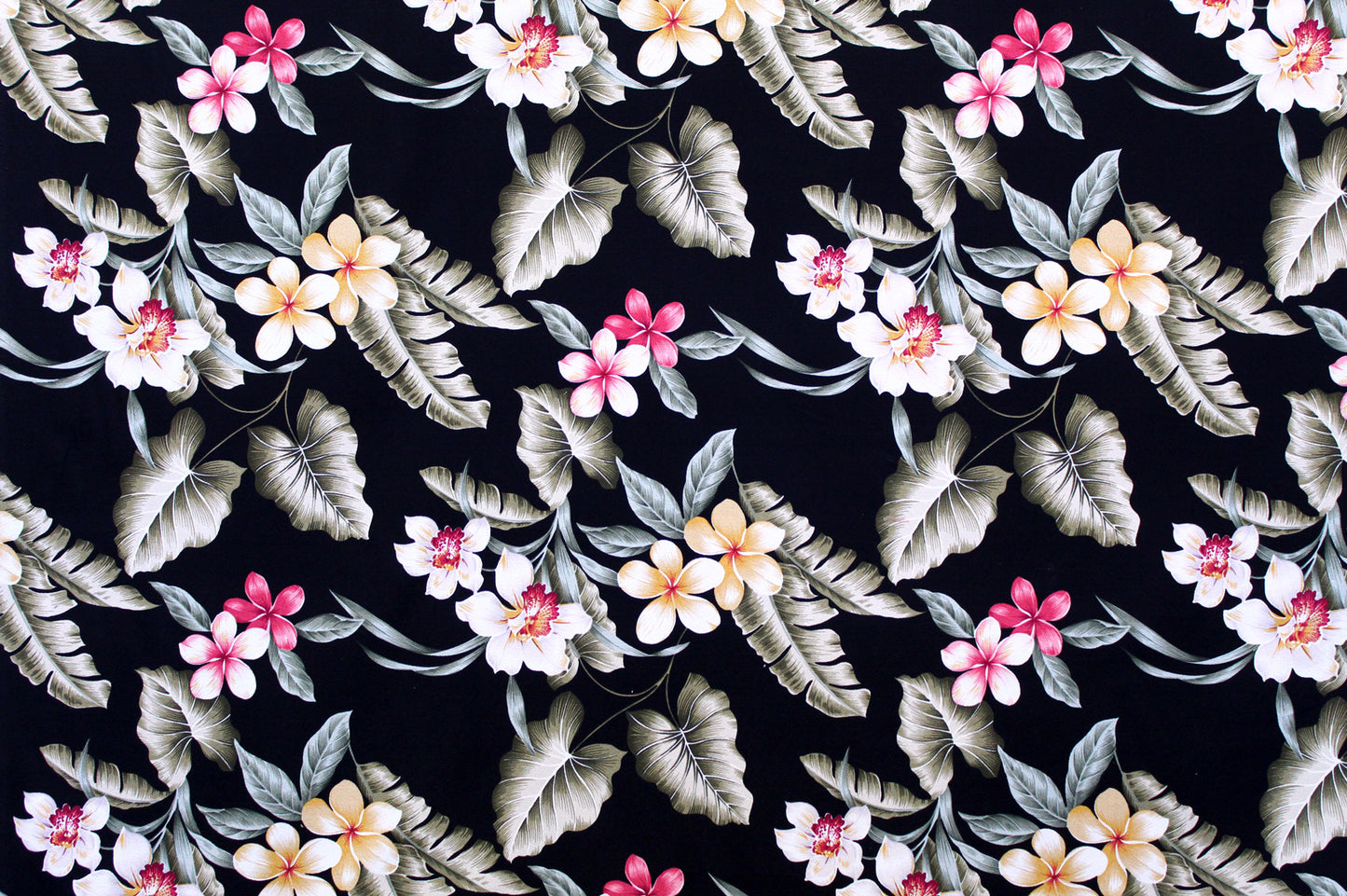 DF1671 Black
